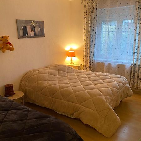 Au Coeur Des Vosges Lejlighed Laval-sur-Vologne Eksteriør billede